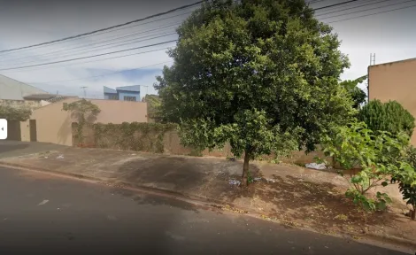 imagem 3 - AMPLO TERRENO NO BAIRRO PARQUE RIBEIRÃO imagem 3 - AMPLO TERRENO NO BAIRRO PARQUE RIBEIRÃO