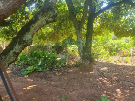 imagem 3 - Terreno de 1.637m² - Recanto Cruzeiro do Sul imagem 3 - Terreno de 1.637m² - Recanto Cruzeiro do Sul