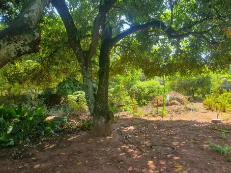 imagem 5 - Terreno de 1.637m² - Recanto Cruzeiro do Sul imagem 5 - Terreno de 1.637m² - Recanto Cruzeiro do Sul