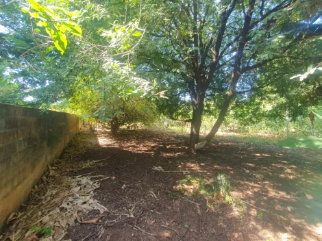 imagem 2 - Terreno de 1.637m² - Recanto Cruzeiro do Sul imagem 2 - Terreno de 1.637m² - Recanto Cruzeiro do Sul