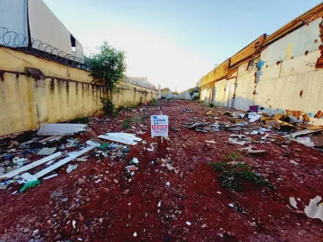 imagem 1 - Terreno amplo de 445m² para locação e venda - Campos Elíseos imagem 1 - Terreno amplo de 445m² para locação e venda - Campos Elíseos