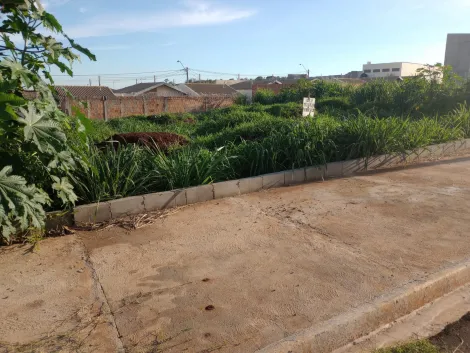 Comprar Terrenos / Padrão em Ribeirão Preto R$ 116.000,00 - Foto 2