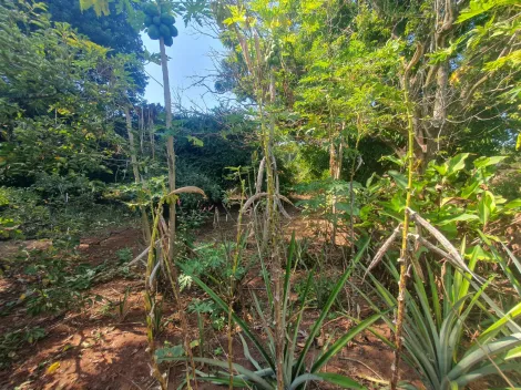imagem 3 - Terreno de 2490m² - Recanto Cruzeiro do Sul imagem 3 - Terreno de 2490m² - Recanto Cruzeiro do Sul
