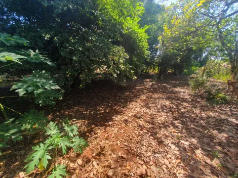 imagem 5 - Terreno de 2490m² - Recanto Cruzeiro do Sul imagem 5 - Terreno de 2490m² - Recanto Cruzeiro do Sul