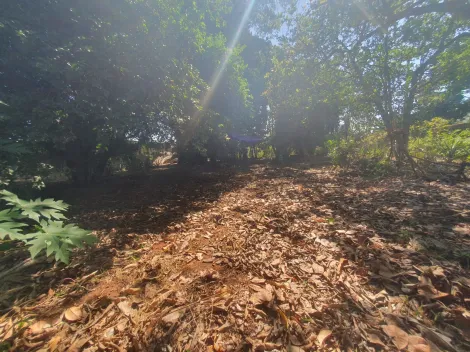 imagem 4 - Terreno de 2490m² - Recanto Cruzeiro do Sul imagem 4 - Terreno de 2490m² - Recanto Cruzeiro do Sul