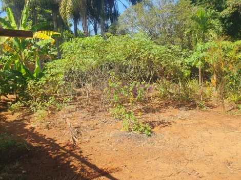 imagem 2 - Terreno de 2490m² - Recanto Cruzeiro do Sul imagem 2 - Terreno de 2490m² - Recanto Cruzeiro do Sul