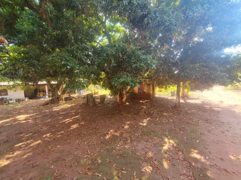 imagem 4 - Casa - Chácara - Rancho imagem 4 - Casa - Chácara - Rancho