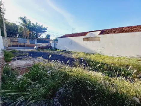 imagem 5 - Terreno de 590m² à venda - Ipiranga imagem 5 - Terreno de 590m² à venda - Ipiranga
