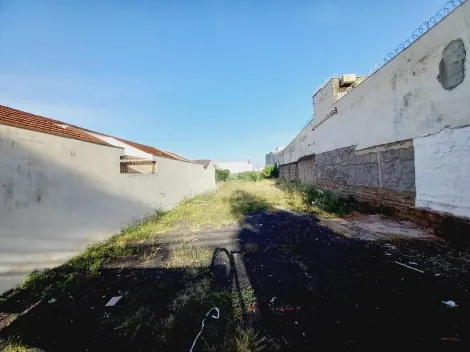 imagem 3 - Terreno de 590m² à venda - Ipiranga imagem 3 - Terreno de 590m² à venda - Ipiranga