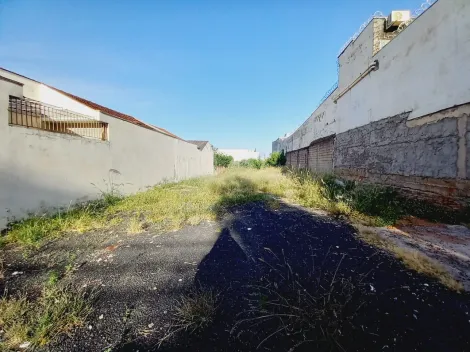 imagem 2 - Terreno de 590m² à venda - Ipiranga imagem 2 - Terreno de 590m² à venda - Ipiranga