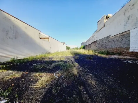 imagem 1 - Terreno de 590m² à venda - Ipiranga imagem 1 - Terreno de 590m² à venda - Ipiranga