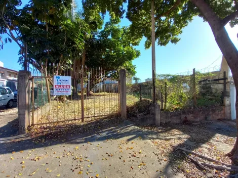 Terrenos / Padrão em Ribeirão Preto 