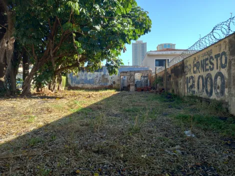 imagem 4 - Terreno de esquina com 300m² para locação e venda - Jardim São Luiz imagem 4 - Terreno de esquina com 300m² para locação e venda - Jardim São Luiz