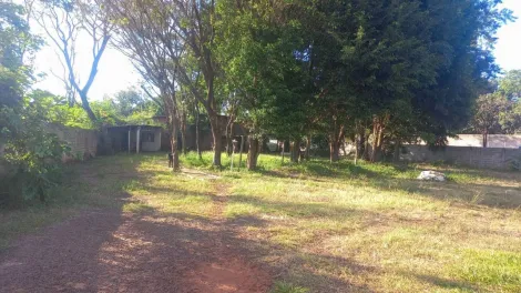 imagem 3 - Chácara com 3.234m² de terreno e 01 barracão à venda - Jardim Ouro Branco imagem 3 - Chácara com 3.234m² de terreno e 01 barracão à venda - Jardim Ouro Branco
