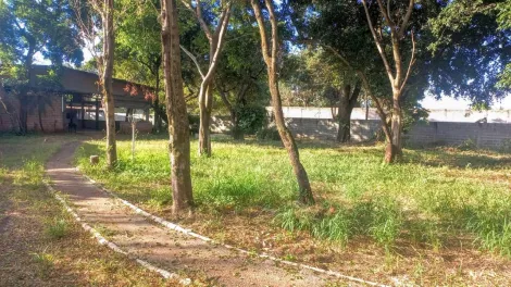 imagem 4 - Chácara com 3.234m² de terreno e 01 barracão à venda - Jardim Ouro Branco imagem 4 - Chácara com 3.234m² de terreno e 01 barracão à venda - Jardim Ouro Branco