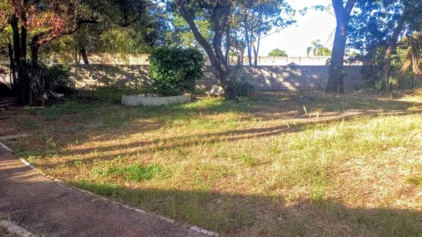 imagem 5 - Chácara com 3.234m² de terreno e 01 barracão à venda - Jardim Ouro Branco imagem 5 - Chácara com 3.234m² de terreno e 01 barracão à venda - Jardim Ouro Branco