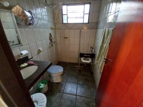 imagem 5 - Casa de 95m² com 02 quartos para locação - Vila Elisa imagem 5 - Casa de 95m² com 02 quartos para locação - Vila Elisa