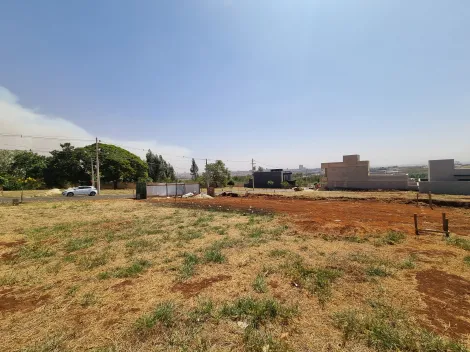 imagem 5 - Terreno de 250m² à venda em condomínio - Quinta da Mata imagem 5 - Terreno de 250m² à venda em condomínio - Quinta da Mata