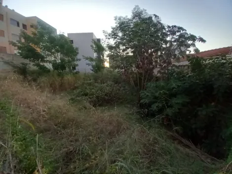 imagem 1 - Terreno de 704m² para venda e locação - Jardim Sumaré imagem 1 - Terreno de 704m² para venda e locação - Jardim Sumaré