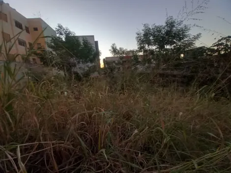 imagem 3 - Terreno de 704m² para venda e locação - Jardim Sumaré imagem 3 - Terreno de 704m² para venda e locação - Jardim Sumaré