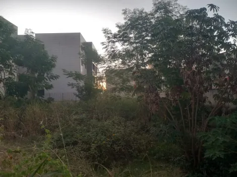 imagem 4 - Terreno de 704m² para venda e locação - Jardim Sumaré imagem 4 - Terreno de 704m² para venda e locação - Jardim Sumaré