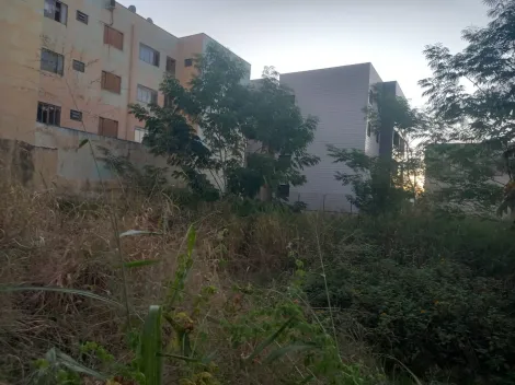 imagem 5 - Terreno de 704m² para venda e locação - Jardim Sumaré imagem 5 - Terreno de 704m² para venda e locação - Jardim Sumaré