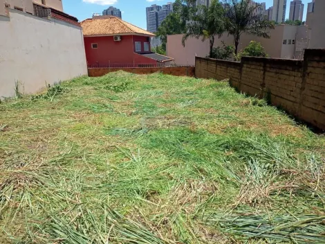 imagem 2 - Terreno - Padrão imagem 2 - Terreno - Padrão