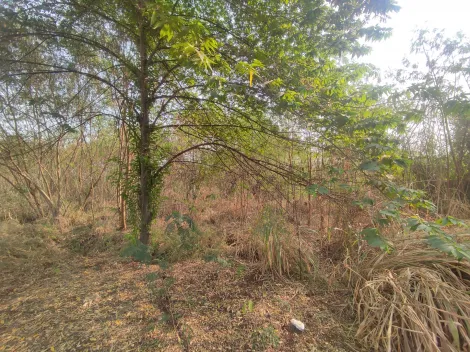 imagem 3 - Terreno de 2021m² à venda - Chácaras Pedro Corrêa de Carvalho imagem 3 - Terreno de 2021m² à venda - Chácaras Pedro Corrêa de Carvalho