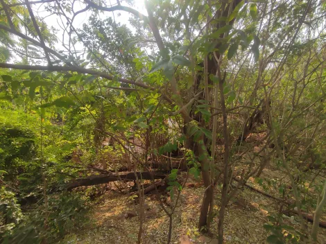 imagem 5 - Terreno de 2021m² à venda - Chácaras Pedro Corrêa de Carvalho imagem 5 - Terreno de 2021m² à venda - Chácaras Pedro Corrêa de Carvalho