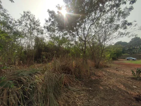imagem 4 - Terreno de 2021m² à venda - Chácaras Pedro Corrêa de Carvalho imagem 4 - Terreno de 2021m² à venda - Chácaras Pedro Corrêa de Carvalho