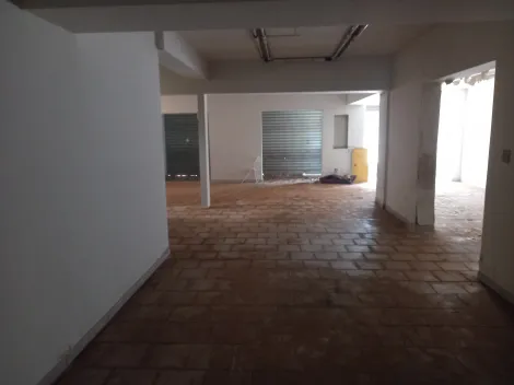 imagem 1 - Comercial padrão - Loja imagem 1 - Comercial padrão - Loja