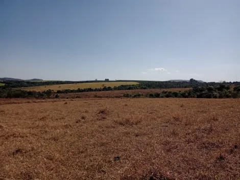 imagem 3 - Sítio de 25 alqueires paulista à venda - Cássia dos Coqueiros imagem 3 - Sítio de 25 alqueires paulista à venda - Cássia dos Coqueiros