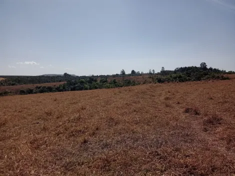 imagem 4 - Sítio de 25 alqueires paulista à venda - Cássia dos Coqueiros imagem 4 - Sítio de 25 alqueires paulista à venda - Cássia dos Coqueiros