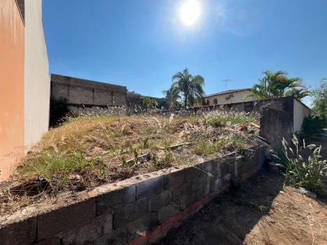 imagem 2 - Terreno de 300m² à venda - Jardim São Luiz imagem 2 - Terreno de 300m² à venda - Jardim São Luiz