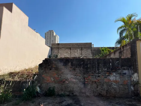 imagem 3 - Terreno de 300m² à venda - Jardim São Luiz imagem 3 - Terreno de 300m² à venda - Jardim São Luiz