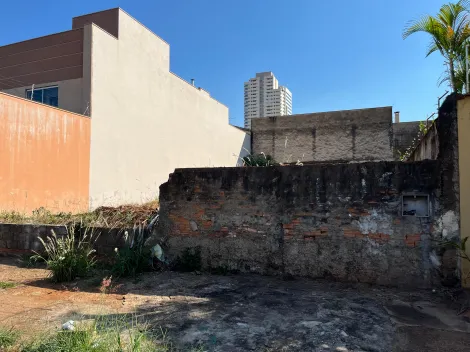 imagem 4 - Terreno de 300m² à venda - Jardim São Luiz imagem 4 - Terreno de 300m² à venda - Jardim São Luiz