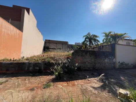 imagem 1 - Terreno de 300m² à venda - Jardim São Luiz imagem 1 - Terreno de 300m² à venda - Jardim São Luiz