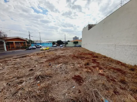 imagem 1 - Terreno - Padrão imagem 1 - Terreno - Padrão