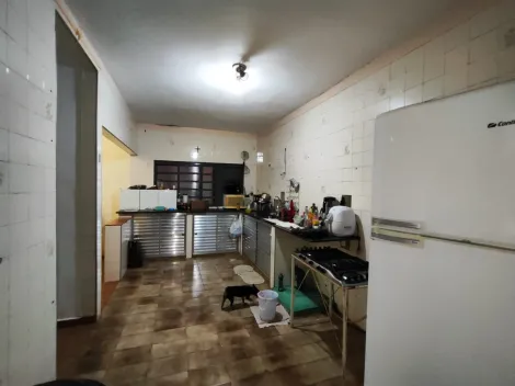 imagem 5 - Casa de 162m² com 02 quartos à venda - Adelino Simioni imagem 5 - Casa de 162m² com 02 quartos à venda - Adelino Simioni