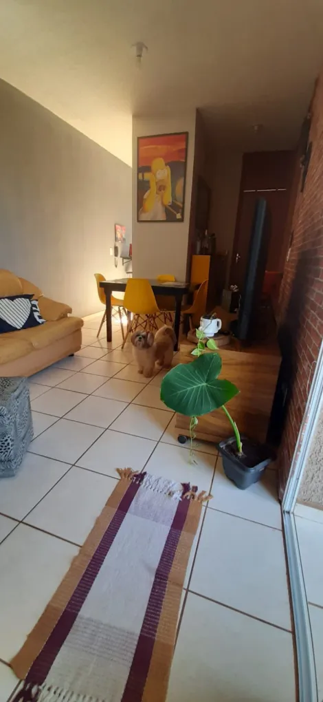 imagem 2 - Apartamento - Padrão imagem 2 - Apartamento - Padrão