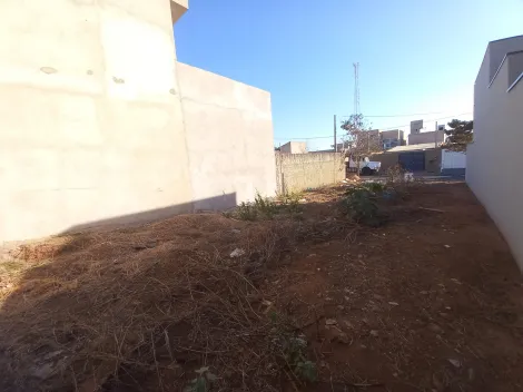 imagem 3 - Terreno de 160m² para locação - Ribeirão Verde imagem 3 - Terreno de 160m² para locação - Ribeirão Verde