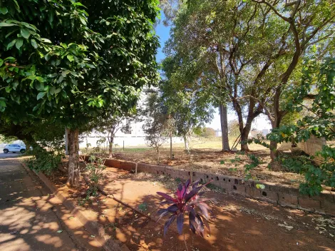 imagem 1 - Terreno de 3.264m² com topografia plana à venda - Ipiranga imagem 1 - Terreno de 3.264m² com topografia plana à venda - Ipiranga