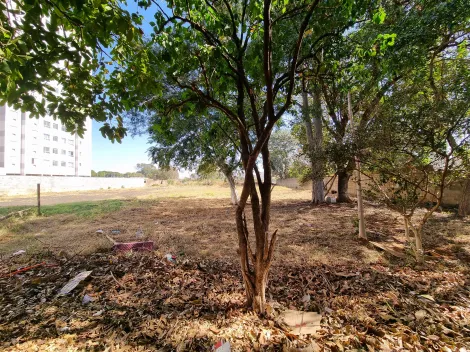 imagem 2 - Terreno de 3.264m² com topografia plana à venda - Ipiranga imagem 2 - Terreno de 3.264m² com topografia plana à venda - Ipiranga