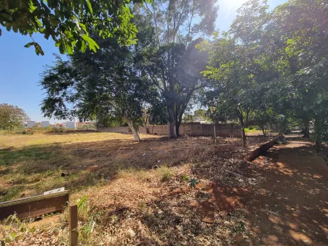 imagem 3 - Terreno de 3.264m² com topografia plana à venda - Ipiranga imagem 3 - Terreno de 3.264m² com topografia plana à venda - Ipiranga