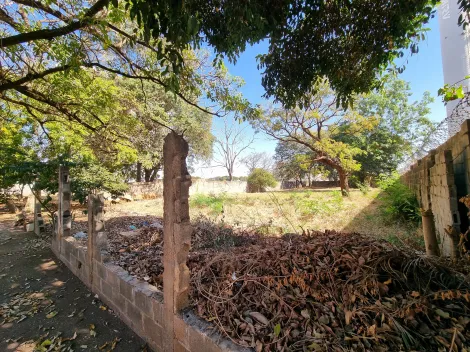 imagem 4 - Terreno de 3.264m² com topografia plana à venda - Ipiranga imagem 4 - Terreno de 3.264m² com topografia plana à venda - Ipiranga