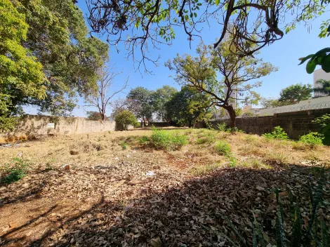 imagem 5 - Terreno de 3.264m² com topografia plana à venda - Ipiranga imagem 5 - Terreno de 3.264m² com topografia plana à venda - Ipiranga