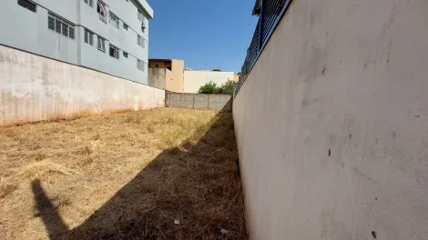 imagem 1 - Terreno de 250m² à venda - Jardim Irajá imagem 1 - Terreno de 250m² à venda - Jardim Irajá
