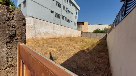 imagem 2 - Terreno de 250m² à venda - Jardim Irajá imagem 2 - Terreno de 250m² à venda - Jardim Irajá