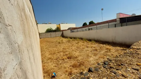 imagem 3 - Terreno de 250m² à venda - Jardim Irajá imagem 3 - Terreno de 250m² à venda - Jardim Irajá