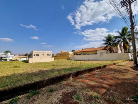 imagem 1 - Terreno plano de 360m² à venda - Nova Ribeirânia imagem 1 - Terreno plano de 360m² à venda - Nova Ribeirânia